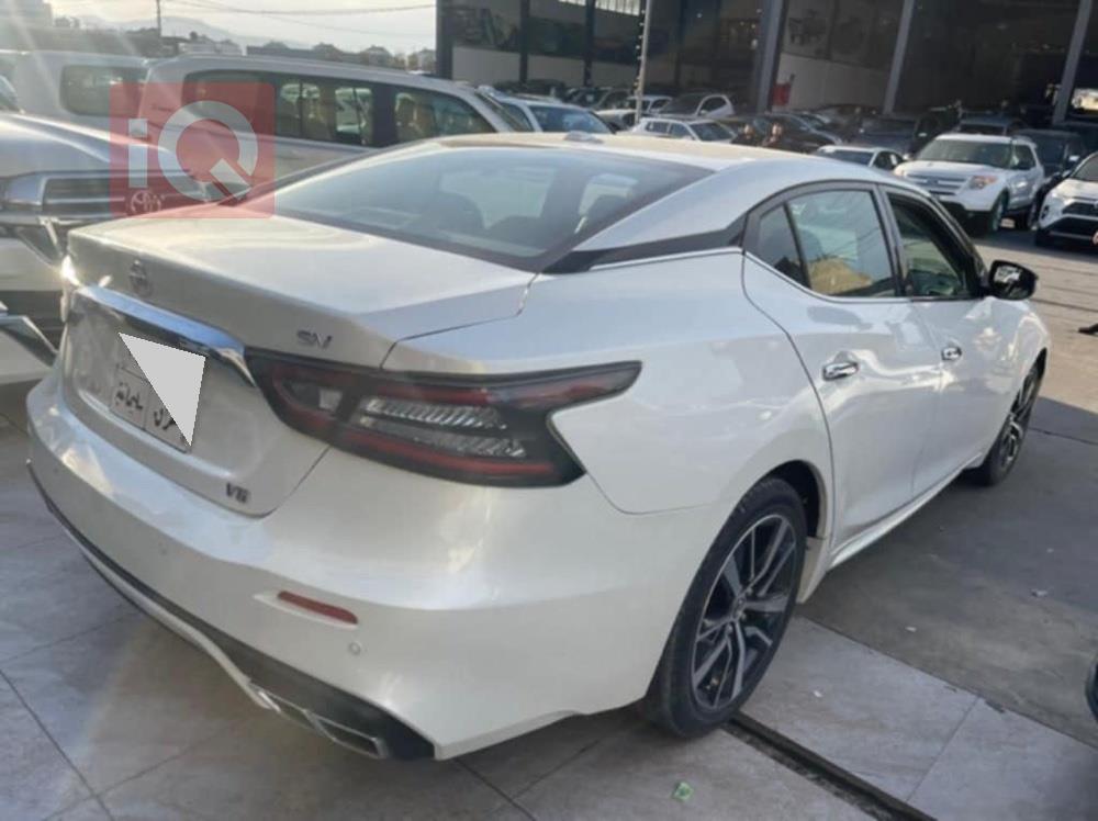 نيسان ماكسيما